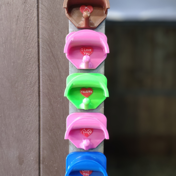 SmartHitch Duo - edycja walentynkowa