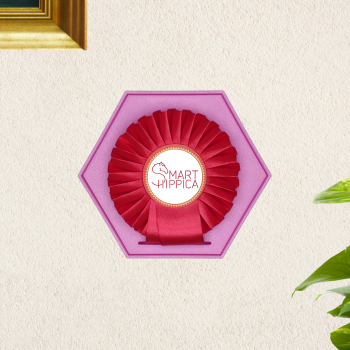 SmartMemory Rosette Wall - ramka do ekspozycji rozet jeździeckich