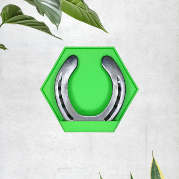 SmartMemory Horseshoe Wall - wyjątkowa ramka ścienna stworzona do ekspozycji podkowy