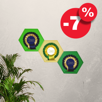 SmartMemory Rosette Wall - zestaw 3 sztuk